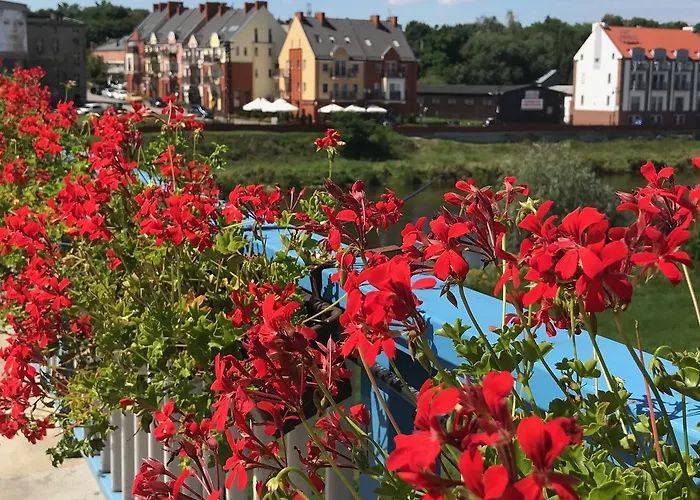 Apartment Lavender Srem